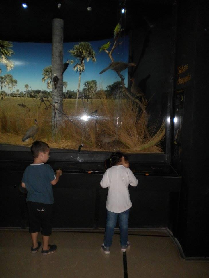 1933370_1074855272576662_3977218923558988444_o