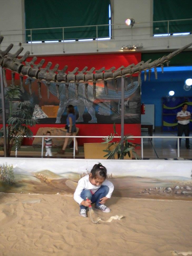 10668984_1074854759243380_1258216724996750570_o