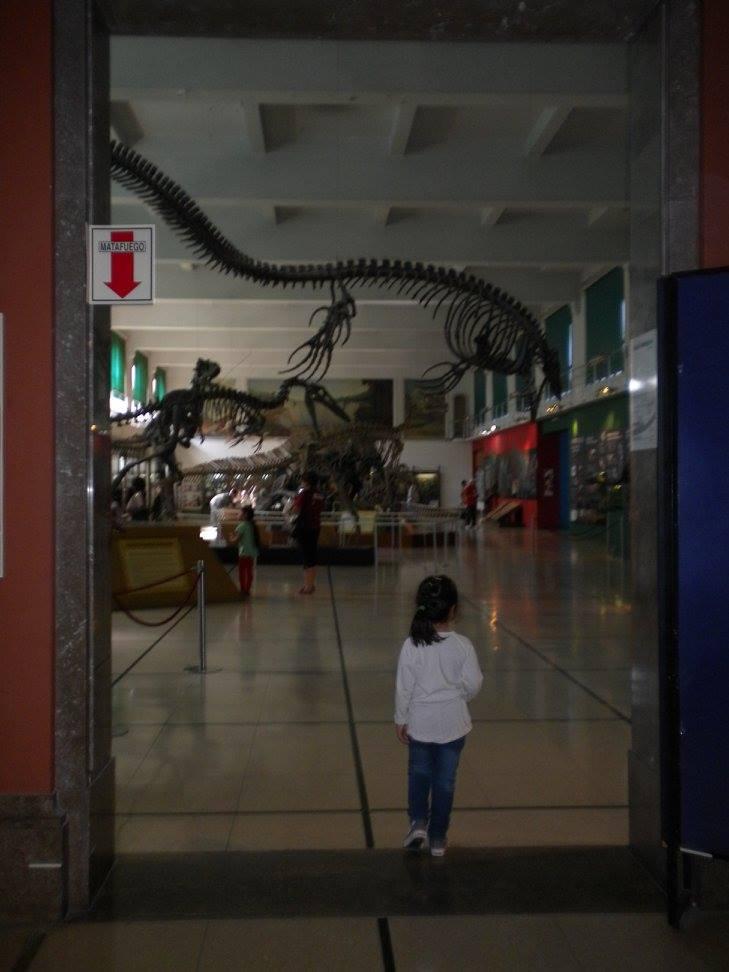 12030288_1074854629243393_2926684963837873274_o