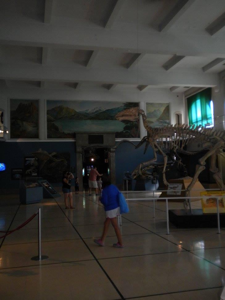 12823241_1074854692576720_3609694067546381849_o