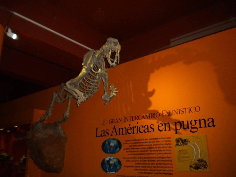 12768143_1074854915910031_6669987719641887128_o