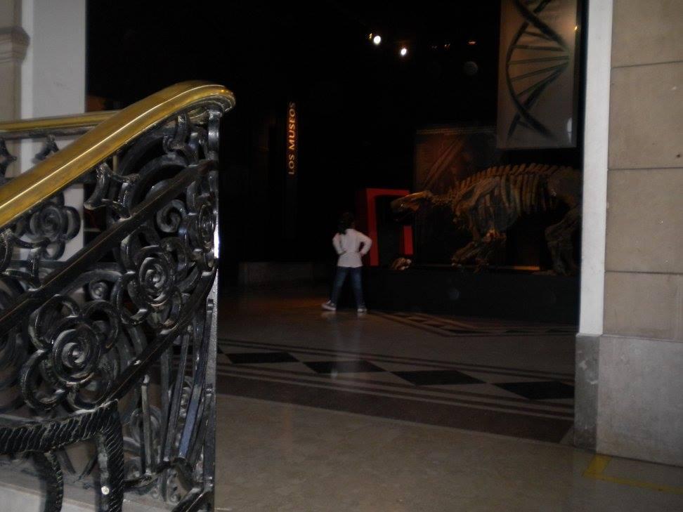 12783648_1074855015910021_7765279323781892174_o