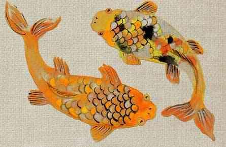 sistema inmunologico peces