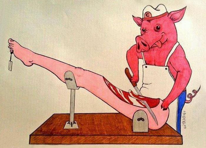 Imágenes que muestran cómo se sienten los animales