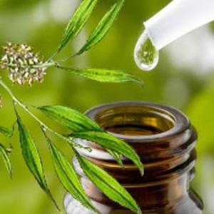 aceite del arbol del té remedio para verrugas genitales