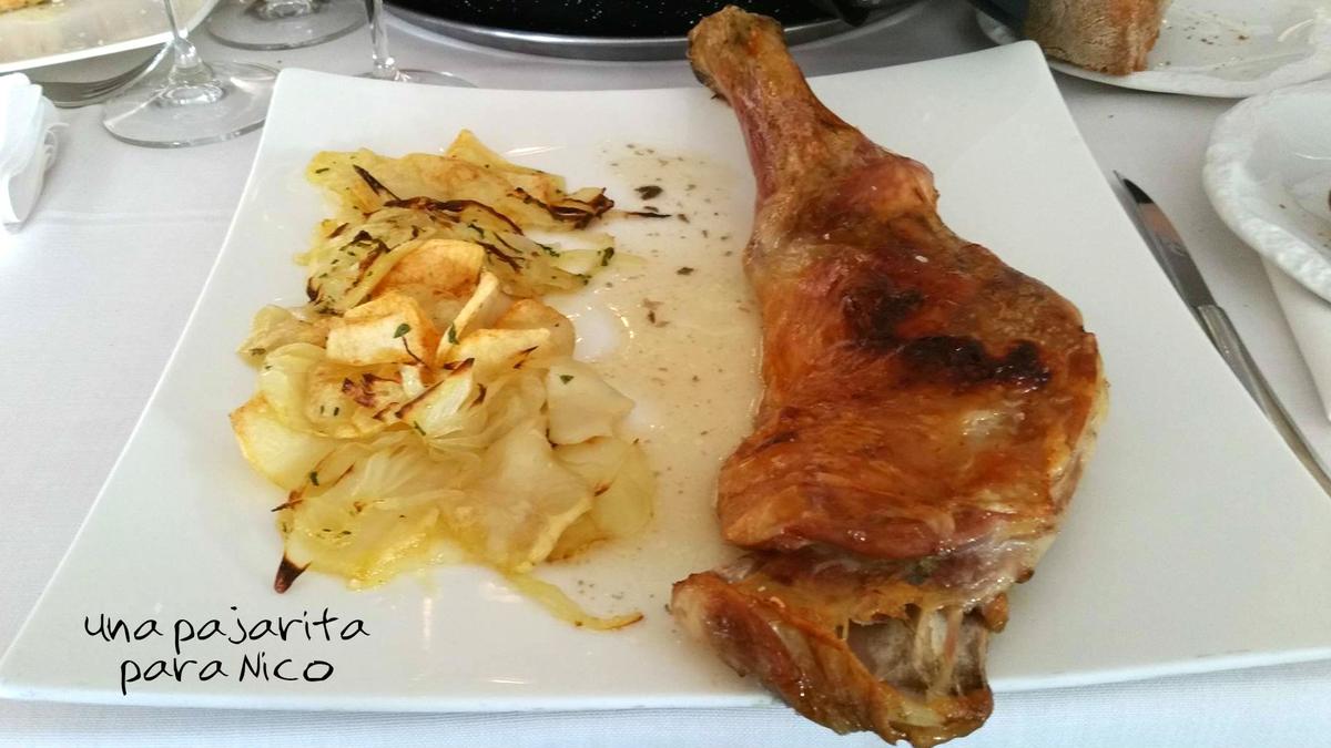 garzas7