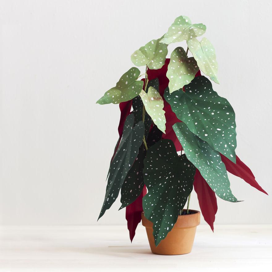 hermosas plantas artificiales hechas con papel