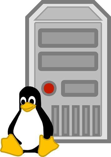 Opciones de mercado de Linux server