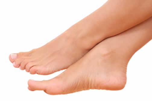 pies