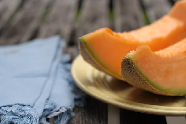 Cantaloupe by Clarice Barbato-Dunn