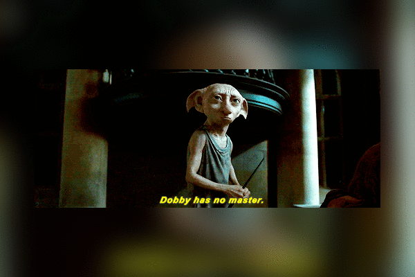 dobby libre de Harry Potter