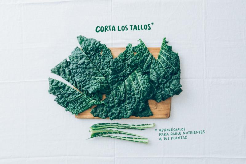 Chips-col-kale-3