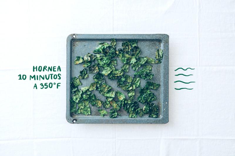 Chips de col rizada / kale