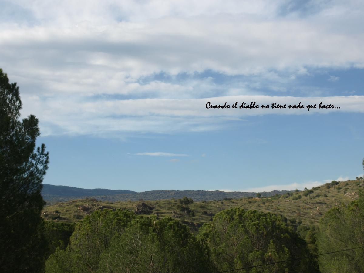 Vistas desde el solarium