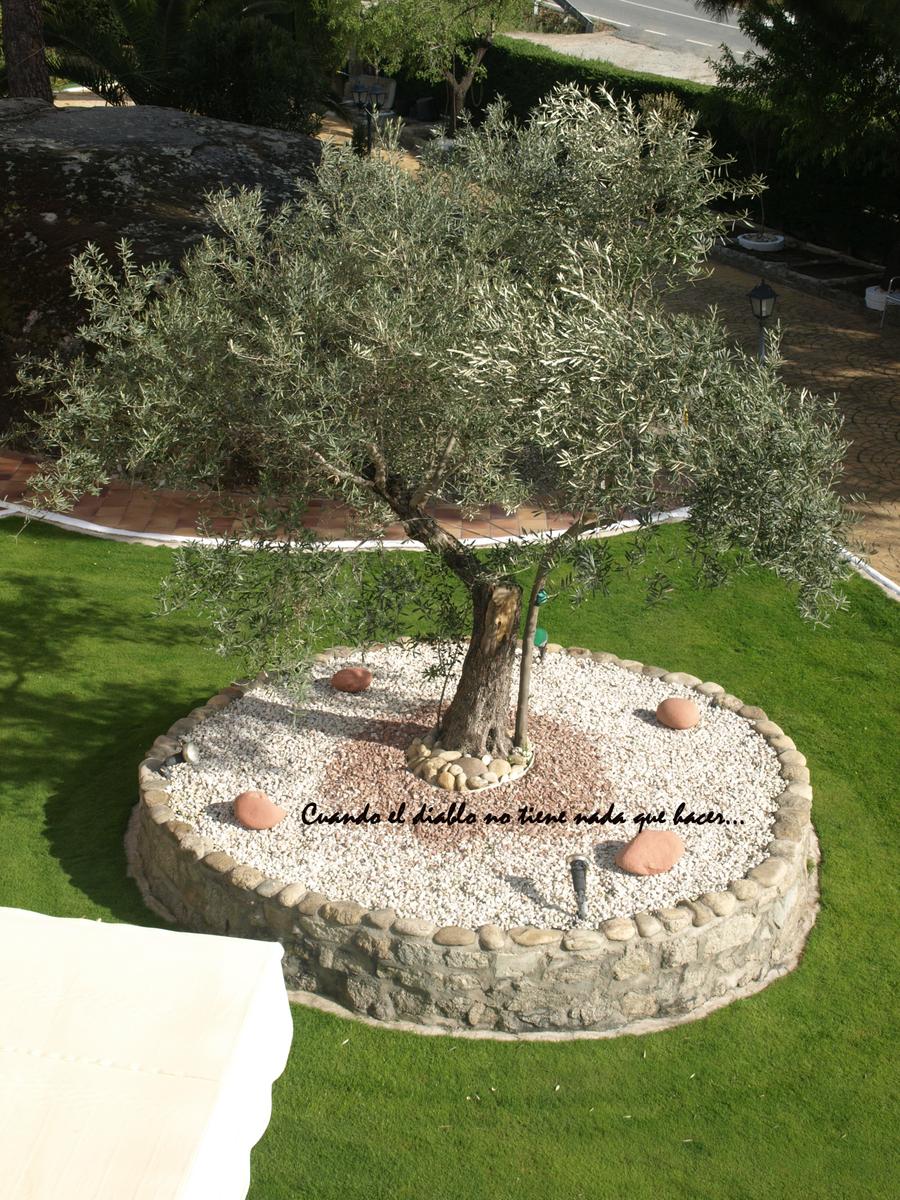 Vistas desde el solarium