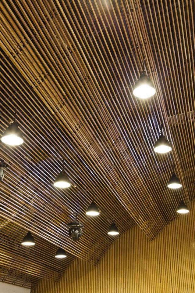 Ceilings_7