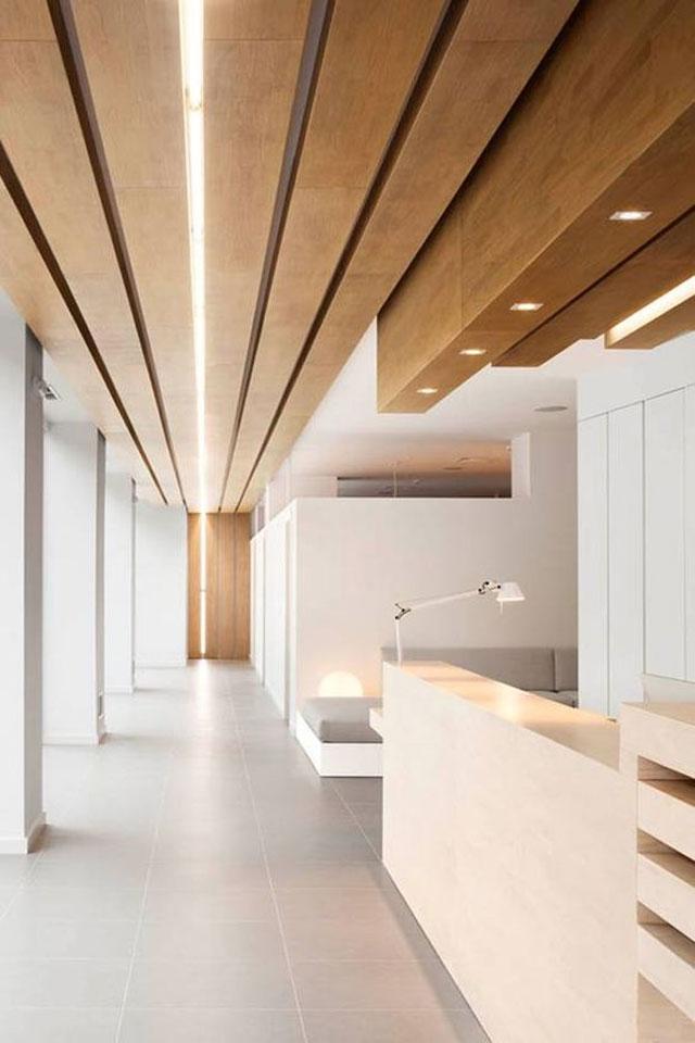 Ceilings_26
