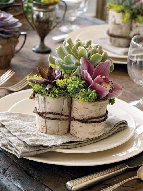 Decorar con cactus detalle para el sittung de una mesa