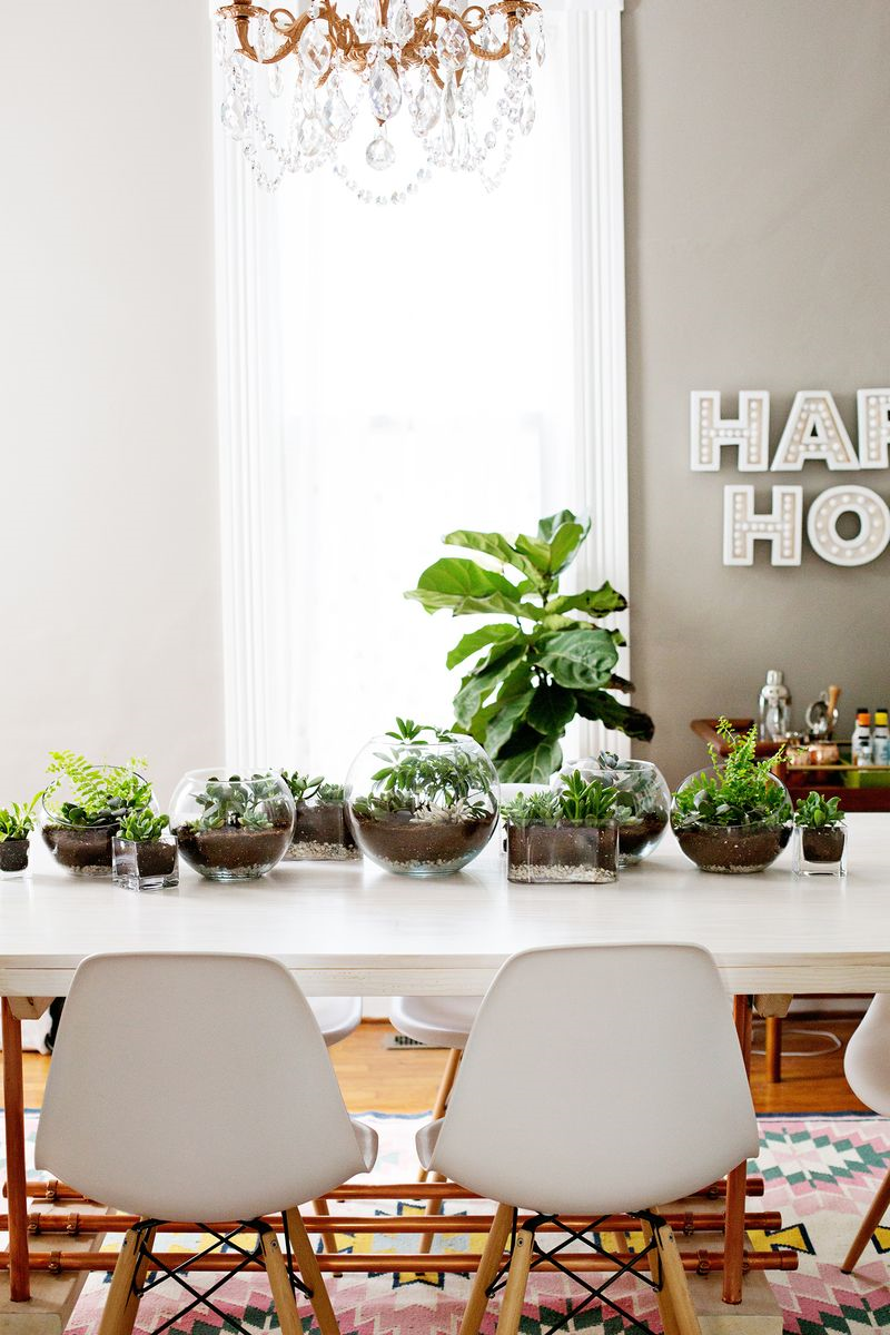 Decorar con cactus un DIY para crear un camino de mesa con terrarios