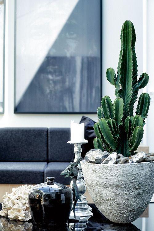 Decorar con cactus un mueble auxiliar