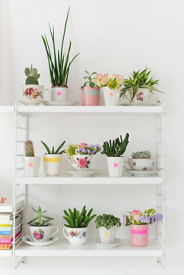 Decorar con cactus composiciones para decorar una estantería