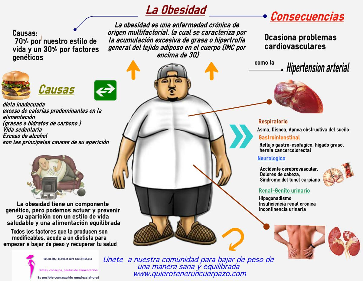Obesidad causas, consecuencias y como prevenirla