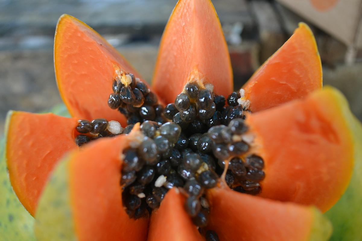 papaya - pasio de papaya - dietas para adelgazar