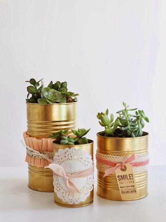latas recicladas para cactus