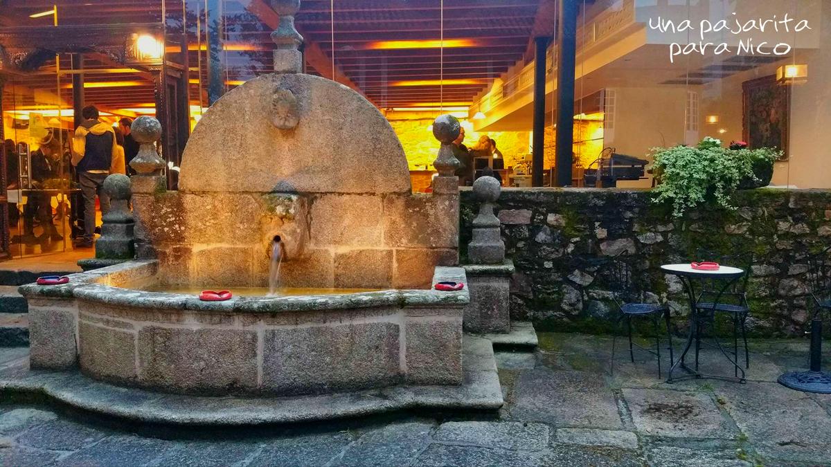 13211178_10209603189142202_371942949_o