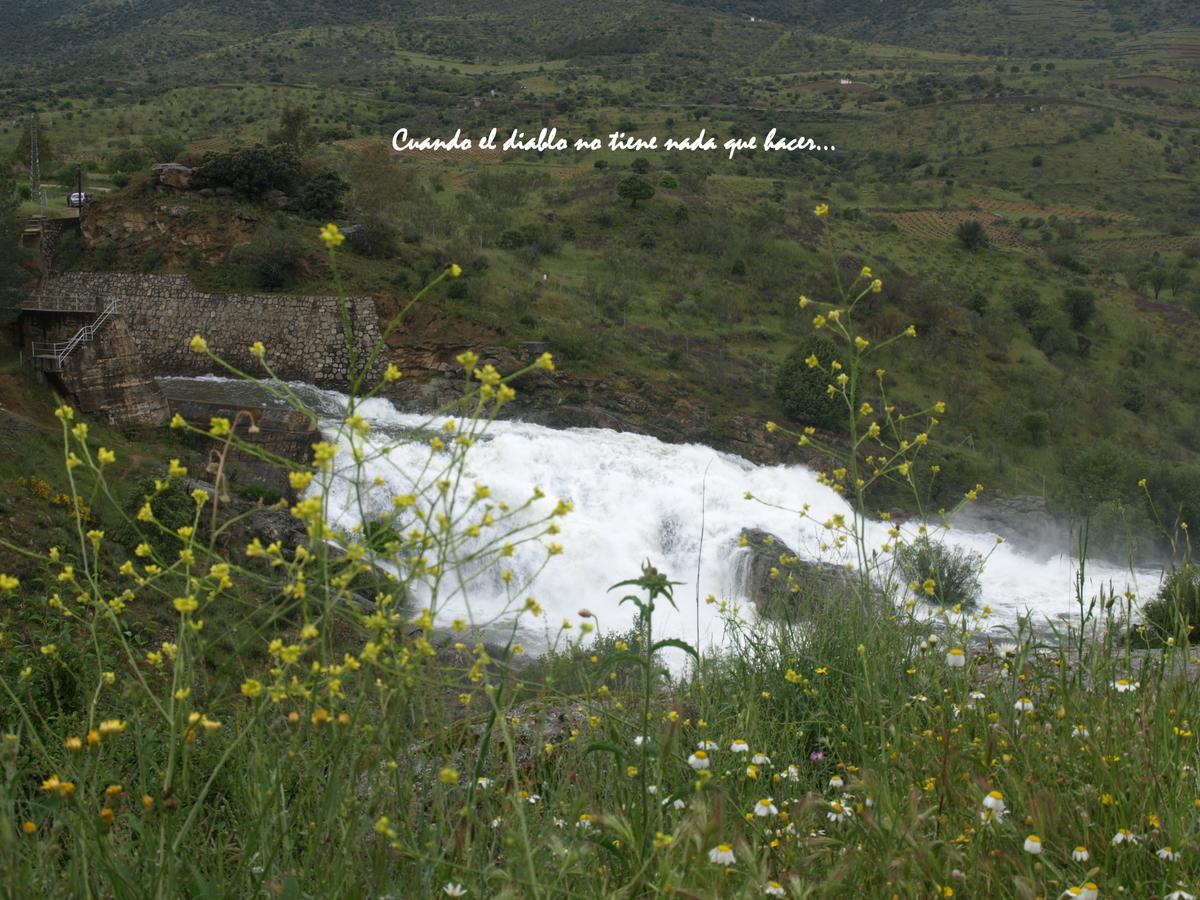 Charco de el Cura