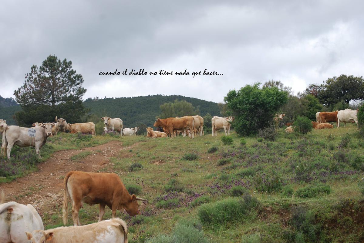 Fauna de la zona
