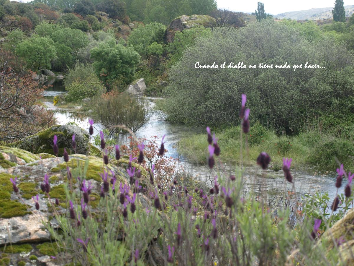 Río Alberche