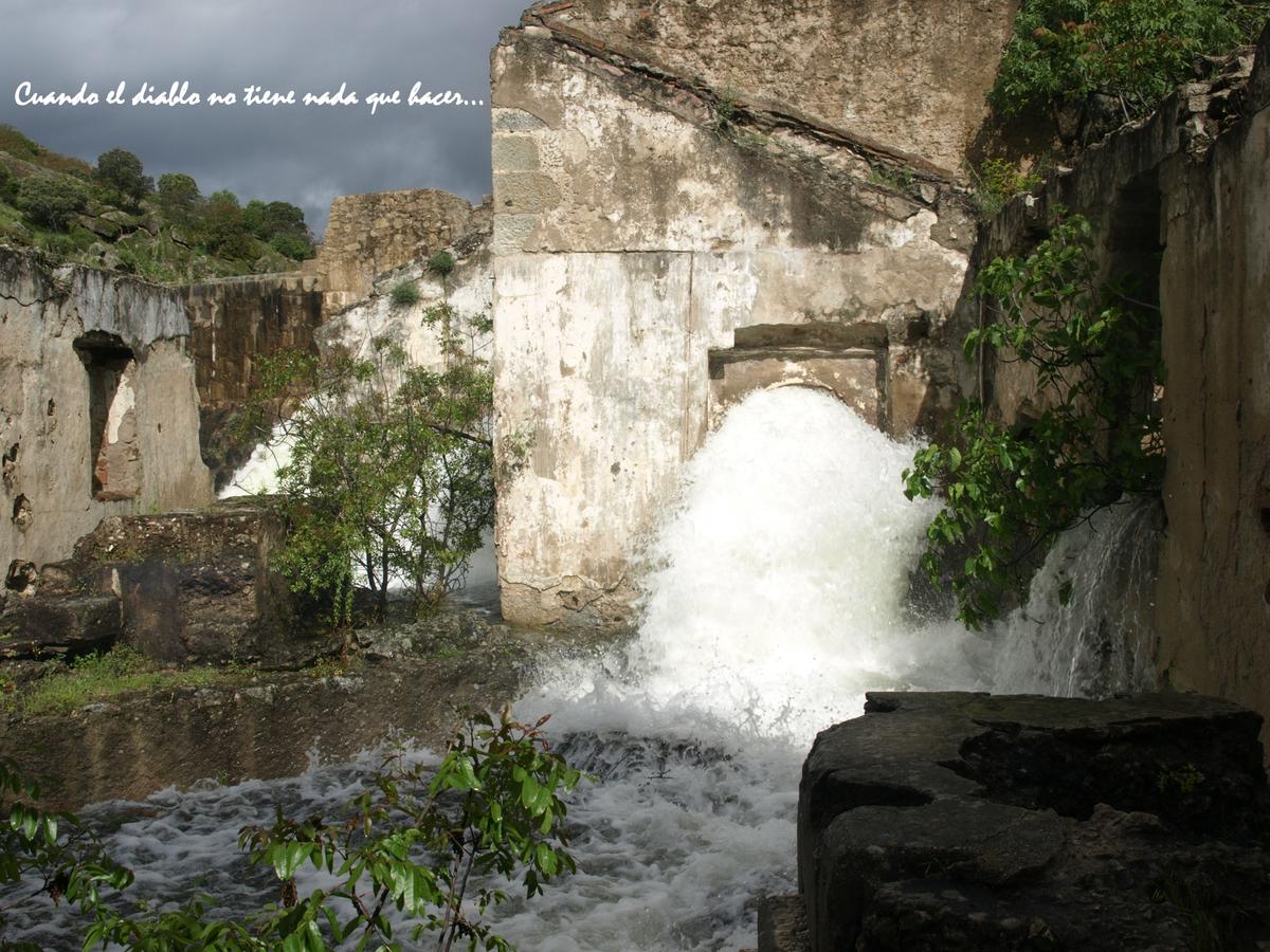 Presa Baena
