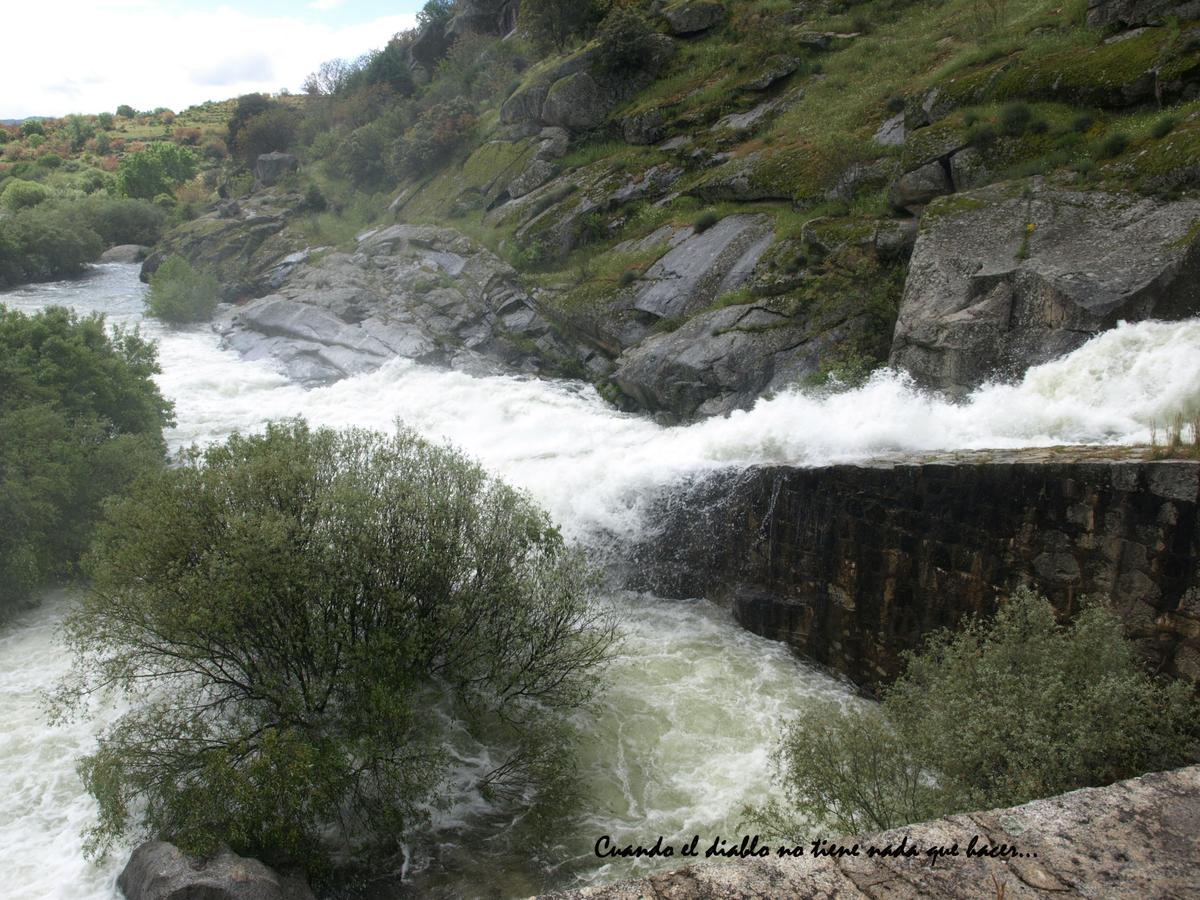 Presa Baena