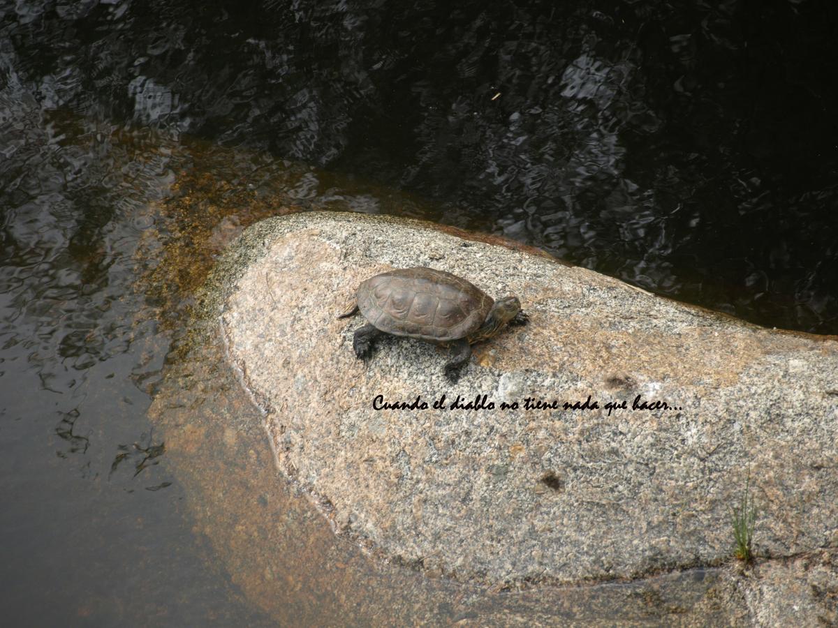 Fauna de la zona