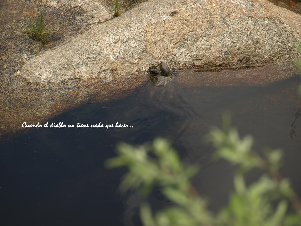 Fauna de la zona