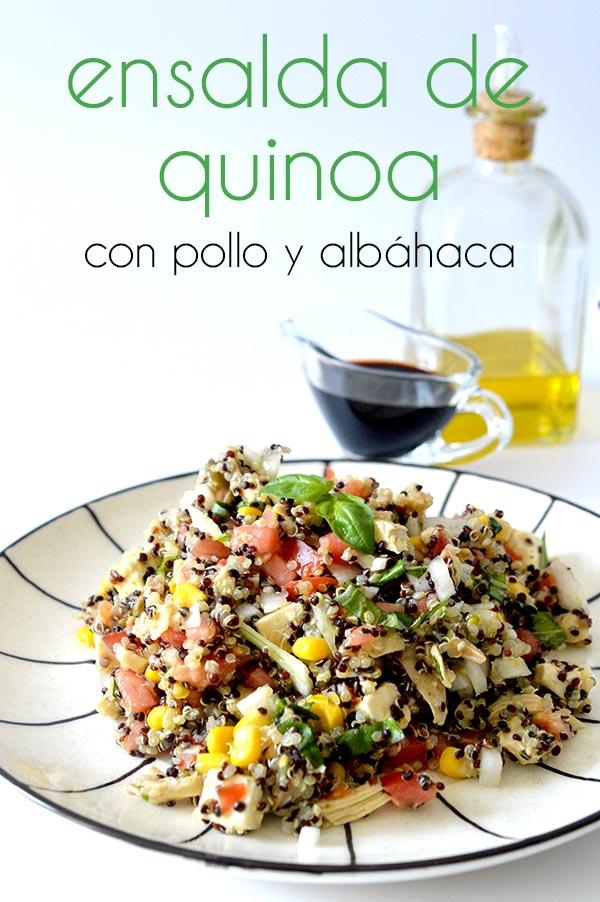 quinoa-con-pollo-y-albahaca-25