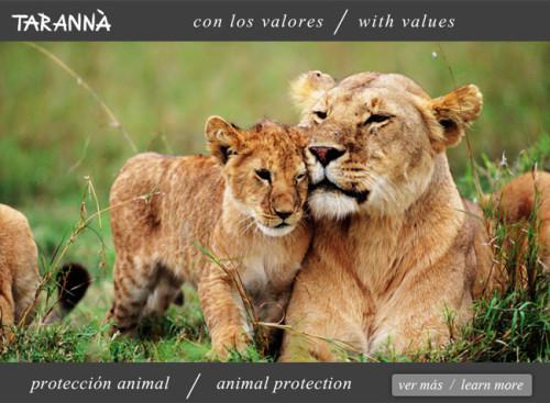 Tarannà valores leones