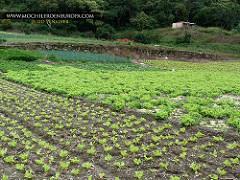 Ruta Los Fortines del Ávila al atardecer