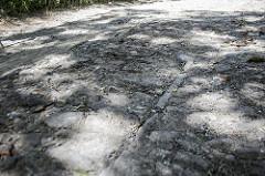 Camino a la mar o Camino a los Españoles