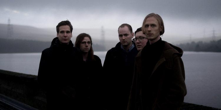 eagulls