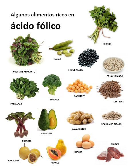 Alimentos ricos en ácido fólico. Anemia