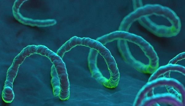 infeccion de la vulva