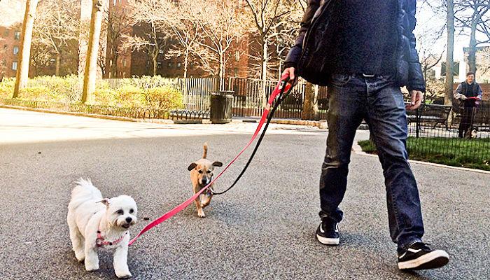 Los asombrosos beneficios