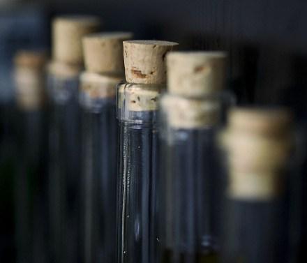 aceite de oliva, dislipemia