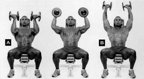 Prensa de Arnold Para Hombros