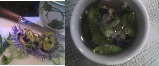 para que sirve la pasiflora