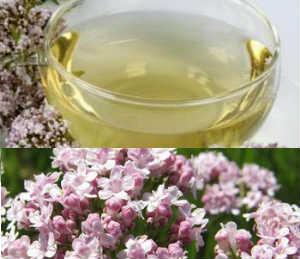 valeriana sirve para dormir