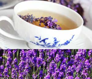 te de lavanda