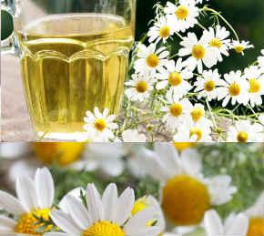 aromatica de manzanilla para dormir